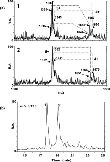 Analysis of carp liver MT complexes by RP HPLC-ESI-MS. ESI mass spectra taken at the apices of peaks 1 and 2 (as detected by ICP-MS)
							(a) and mass chromatogram of the ion at m/z 1333 (b).
