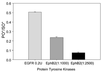 Activity of EGFR and EphB2 tyrosine kinases measured by detecting phosphorylation state of poly(Glu,Tyr) substrate. Each assay, and its control, was performed in triplicate.
