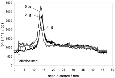 Direct detection of phosvitin bands from 1-D gel at different protein loads.