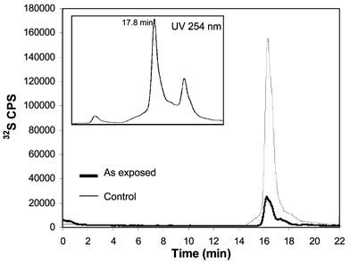Sulfur specific monitoring of Brassica juncea extracts separated by SEC-ICP-MS at pH 5.6. Bold line for control plants and thin line for the As exposed plant. The UV absorption profile of the extract is showed in the inset at 254 nm.