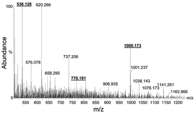 Electrospray-Q-TOF of the Brassica extract containing the internally oxidized forms of PC2, PC3 and PC4 at m/z 538, 770 and 1000, respectively.