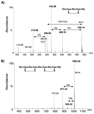 Collisional induced dissociation (CID) of the ions at m/z 538 and 1000 for sequencing of the peptides.