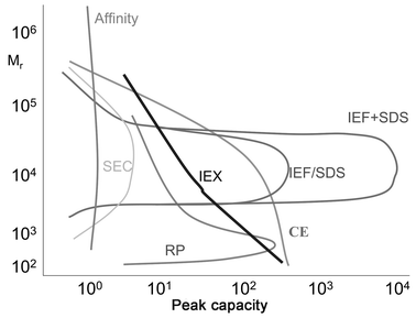 Isolation and purification techniques applied for biomolecules of different sizes. Key: affinity = affinity chromatography; CE = capillary electrophoresis; IEF = isoelectric focusing; IEX = ion exchange chromatography; SDS = sodium dodecyl sulfate PAGE; SEC = size exclusion chromatography; RP = reversed phase chromatography. Reproduced with permission of F. Löttspeich, Max Planck Institute for Biochemistry, Martinsried, Germany.