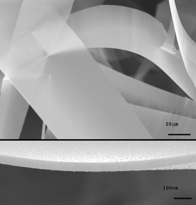 SEM images of the ultrawide nanosheets. The inset shows the edge of the sheet.