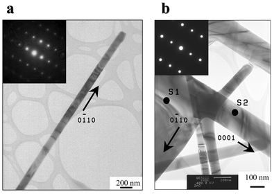 Transmission electron microscopy (TEM) analysis for (a) the nanowire and (b) dendritic sidebranches and interspaces evolving between the sidebranches.