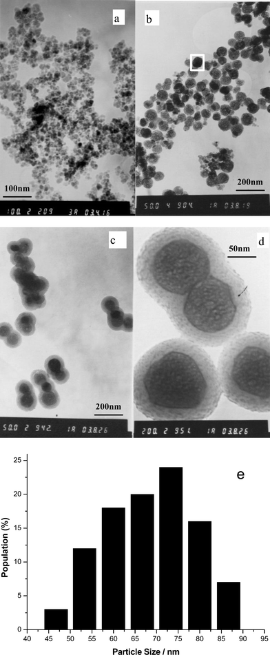 Transmission electron micrographs of (a) superparamagnetic iron oxide nanoparticles; (b) UCP-coated magnetic nanoparticles; (c, d) up-conversion fluorescent magnetic nanoparticles whose surfaces have been coated with silica shells and (e) size distribution of (b).