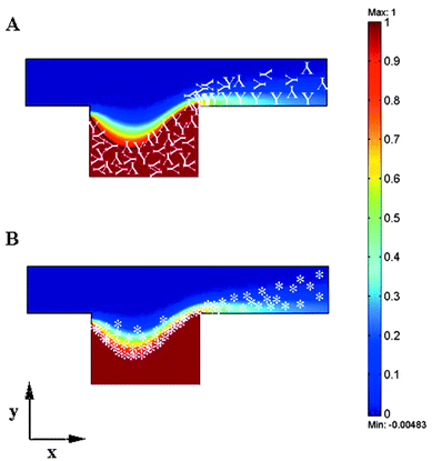 Schematic of two potential uses for the molecules dissolved in a controlled manner from depots in microfluidic channels. Both (A) and (B) show a cross sectional view of a result from a computational fluid dynamic (CFD) model of the steady state dissolution of material from a storage cavity (rectangular depression) in the microchannel. Flow was simulated from left to right. The colors represent the concentration of the stored component. For this simulation, the Reynolds and Peclet numbers were 10 and 100 respectively. The white characters superimposed on the model results are purely schematic. (A) A schematic of a surface activation process in which capture molecules such as antibodies, initially in the storage cavity, are released and allowed to attach to the surface downstream of the cavity. The white Y's represent capture molecules. Note that release of molecules from the matrix could be used generally for surface immobilization. (B) A schematic of a fluorescence assay like that reported here in which enzyme is stored in the matrix within the storage cavity, which is exposed to a flowing solution of fluorogenic substrate. The white asterisks represent the product of the enzymatic reaction. This could be used to directly measure the concentration of the fluorogenic substrate or of an enzymatic inhibitor. Alternately, the plume could be used in part of an immunoassay like the diffusion immunoassay (DIA).5
