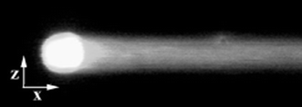 Fluorescence image of the dissolution of a sample of trehalose/dextran matrix from a cylindrical storage cavity in PDMS (top view). The dissolving matrix was labeled with fluorescein allowing observation of the resulting dissolution plume. The cylindrical storage cavity was 250 µm in diameter and 200 µm deep. Flow was from left to right.