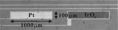 Photograph of a microfabricated bare Pt electrode and an IrOx electrode electrodeposited onto a Pt electrode.