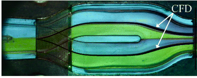 Comparison between the CFD result (black lines) and the experimental image showing the multi-lamination for 85% glycerol–water solutions at a flow rate of 0.2 l h−1. The black lines denote the numerically computed streamlines seeded at the lamella interface at the inlet (cf. first cross section of Fig. 5).