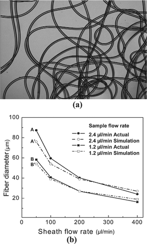 (a) A photo of continuously produced microfiber. (b) The fiber diameter is a function of the relative sample and sheath flow rates.