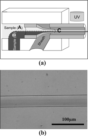 To control the local fiber properties, laminar flow (a) is used to create two adjacent materials. As a demonstration, a dye is used and the result is a fiber that contains a gradient of dye across the fiber (b).
