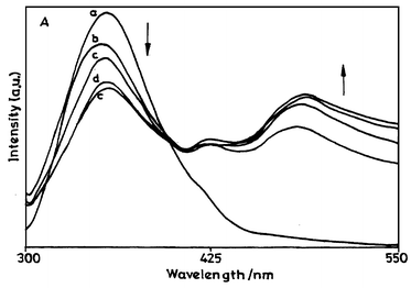 Fluorescence emission spectra of BSA and the corresponding protein conjugate in phosphate buffer: (a) pure BSA and (b–e) protein conjugates. The concentration of diene in the conjugates is (b) 2.7 × 10−5, (c) 5.0 × 10−5, (d) 7.7 × 10−5 and (e) 8.8 × 10−5 M. (λex
						= 295 nm.)