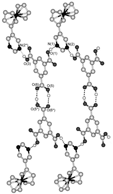 Part of the tape structure of 6. Dashed lines indicate hydrogen bonds. Hydrogen atoms bonded to carbon atoms are omitted for clarity.