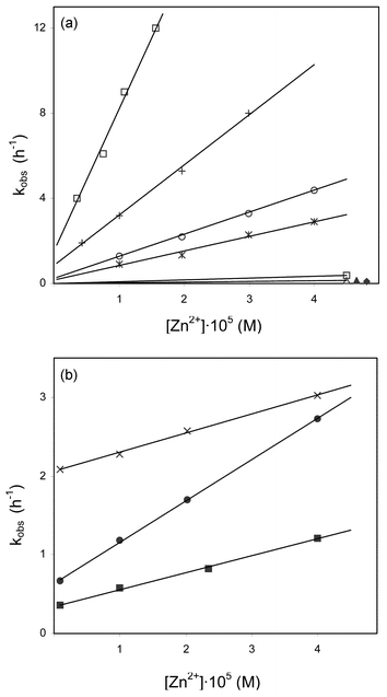 Effect of concentration of Zn2+ on the observed rate constant for the decomposition of β-lactam antibiotics. Experimental conditions: pH = 8.00, [Tris] = 0.050 M, [β-lactam] = 1 × 10−3 M, 0.5 M ionic strength (NaClO4), temperature = 308 ± 0.1 K. (a) Decomposition of imipenem (□), amoxicillin (+), SCH29482 (○), clavulanic acid (*), cephaloglycin (⊡), moxalactam (●), aztreonam (▲) and nocardicin A (△). (b) Decomposition of cephaloglycin (×), cephaloridine (●) and cephalothin (■).