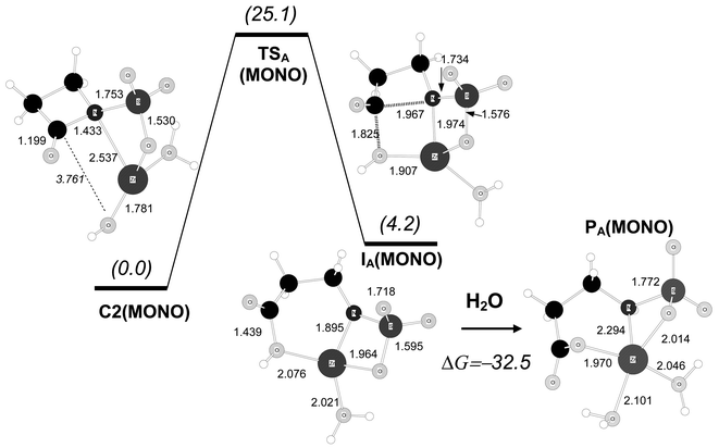 B3LYP/6-31G* optimised structures for the hydrolysis reaction of the monobactam model compound starting from complex C2(MONO). Distances in Å. Relative free energies in solution (kcal mol−1) are shown in parentheses.