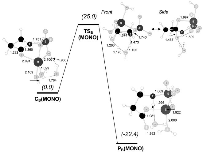 B3LYP/6-31G* optimised structures for the hydrolysis reaction of the carbapenem model compound starting from complex CB(MONO). Distances in Å. Relative free energies in solution (kcal mol−1) are shown in parentheses.