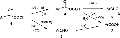 Mechanistic pathways for the oxidation of mandelic acids