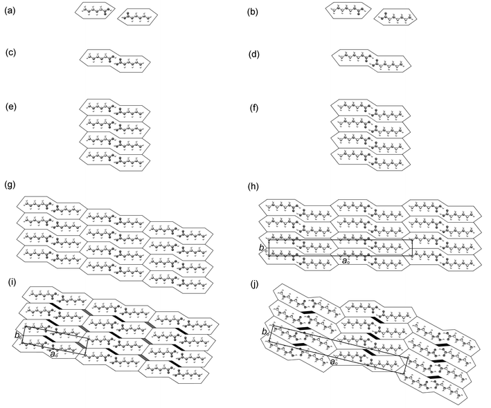 Geometrical model describing the possible packing arrangements of acid dimers in the aobo plane. Even acids (left) and odd acids (right) are represented by modified “double” parallelograms and trapezoids, respectively. The axes ao and bo are identified in (h)–(j).