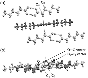 Representative view (C6 illustrated) of the relative arrangement of carboxyl groups in all structures. (a) View showing the hydrogens of the α-CH2 groups pointing towards the centroid of the carboxyl groups in an adjacent dimer. (b) Perpendicular view showing the parallel alignment of the Cα–Cβ and O⋯O vectors.