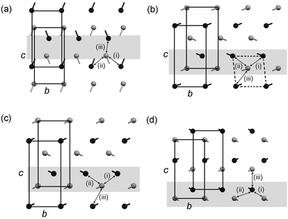 Projections of the terminal C–C bonds onto the bc face of the monoclinic unit cell for (a) the even acids, (b) C7, (c) the odd acids C9 and C11, and (d) the odd acids C13 and C15. The top layer in the projection is shaded grey and the bottom is black. The methyl C atom is represented as a circle and the bond to the adjacent CH2 group is indicated. Equivalent bc faces in adjacent bilayers and contacts (i)–(iii) are indicated. A single aobo plane referred to in the text is shaded.