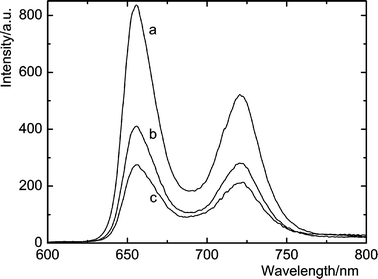 Steady-state fluorescence spectra of 1.5 μM 1
					(a) in the presence of 35.8 μM (b) and 71.6 μM C70
					(c) in toluene.