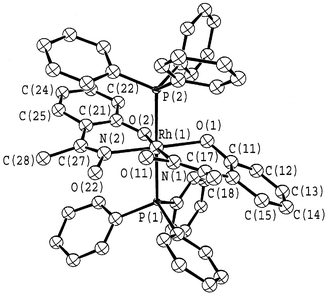 View of the [Rh(PPh3)2(HL2)(L2)] molecule.