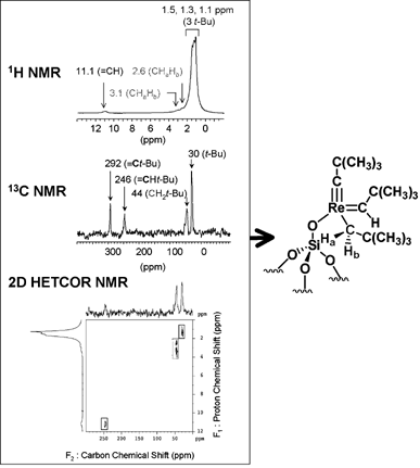 1D and 2D HETCOR solid state NMR spectroscopy, a tool to determine structures on surfaces.