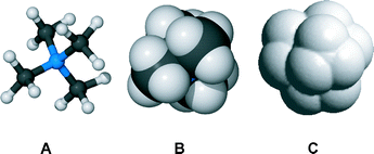 Molecular models of tetra-n-butylammonium cation in (A) the ball and stick and (B) space-filling metaphors. Model C shows the calculated solvent exposed surface.
