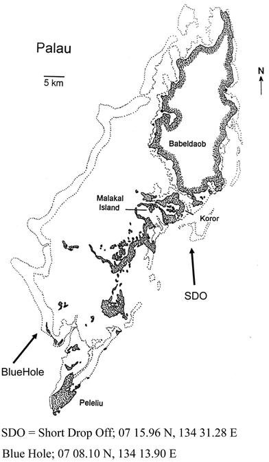 The Islands of Palau (pen and ink drawing courtesy of Dr and Mrs Patrick Colin, CRRF).