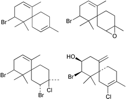 Examples of selected halogenated chamigrene natural products.