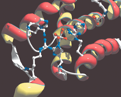 The vanadium site of V-BrPO (A. nodosum). Figure was drawn in Swiss-PDB viewer and rendered with gl_render and POV-ray software. Vanadium cofactor is represented as a gray/red stick and ball model.