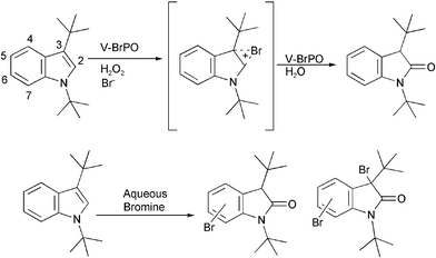 V-BrPO-catalyzed regiospecific bromination of 1,3-di-tert-butylindole.34