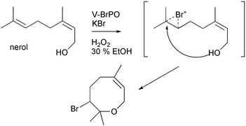 V-BrPO-catalyzed bromination and cyclization of nerol to the singly brominated eight-membered cyclic ether.35