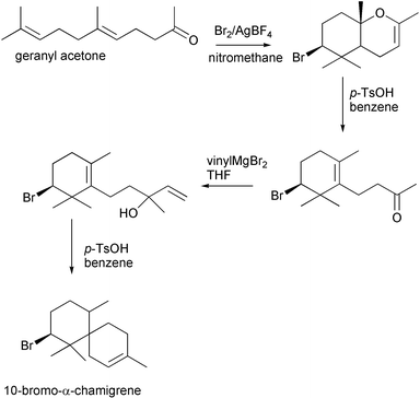 Biomimetic synthesis of 10-bromo-α-chamigrene.7