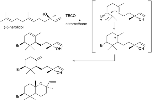 Biomimetic synthesis of marine natural products α-, β-snyderol, and 3β-bromo-8-epicaparrapi oxide.54,55