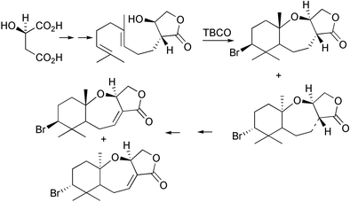 Biomimetic synthesis of the marine natural product (−)-aplysistatin.56