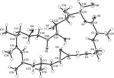 X-ray structure of amphidinolide H (8a). Intramolecular hydrogen bonds are shown by dashed lines.