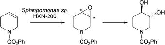 scheme, filename = b316097c-s2.gif