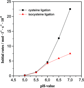 pH-Profile of initial ligation rates of the cysteine ligation (25
					+ Cys-Arg-Ala-Glu-Tyr-Ser, 27
					→ Leu-Tyr-Lys-Ala-Gly-Cys-Arg-Ala-Glu-Tyr-Ser, 28) and the isocysteine ligation (16
					+
					25
					→
					26). Ligation conditions as specified in Fig. 1.