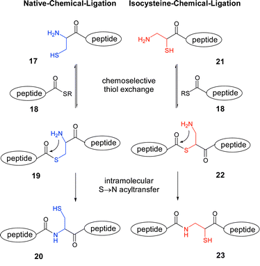 scheme, filename = b309235f-s3.gif