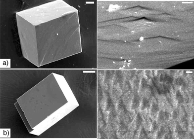 Etching of control calcite crystals. a) After treatment with distilled water for 24 hours (scale bar left: 20 µm, right: 5 µm). b) After treatment with Tris (50 mM, pH 9) for 24 hours (scale bar left: 50 µm, right: 2 µm).