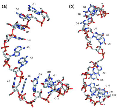 The average structures of the transition states of compounds 2
						(a) and 6
						(b) during the last 100 ps of molecular dynamics simulations.