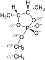 The structure of the model compound used in the quantum mechanical geometry optimisation of the pentacoordinated transition state moiety.