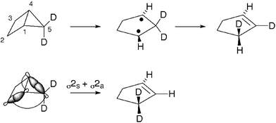 Two mechanisms for the isomerization of bicyclo[2.1.0]pentane to cyclopentene, and their distinction through deuterium labeling.