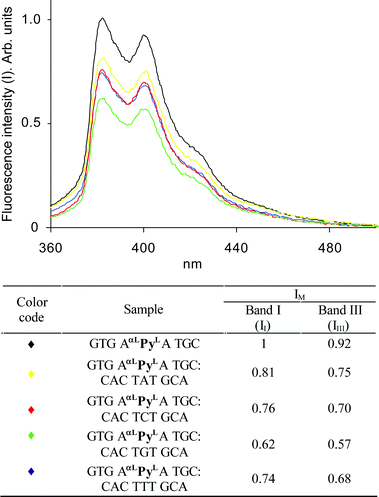 Steady state fluorescence spectra of single stranded ON4 and of the four duplexes shown. The spectra were recorded at 19 °C ± 1 °C in buffer (10 mM sodium phosphate, 700 mM sodium chloride, 0.1 mM EDTA, pH 7.0) using 1.5 × 10−7 M concentrations of each strand. Fluorescence intensities are arbitrary units normalized relative to the fluorescence intensity of band I of ON4
						(assigned the value “1”).
