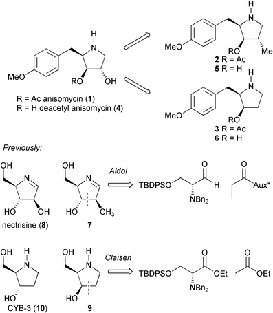 Analogues of anisomycin, nectrisine and CYB-3.