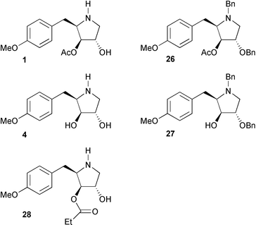 Further analogues of anisomycin and deacetyl anisomycin.
