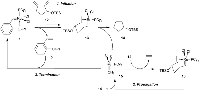 Proposed route for the release, catalytic activity and return of Ru complex 1.