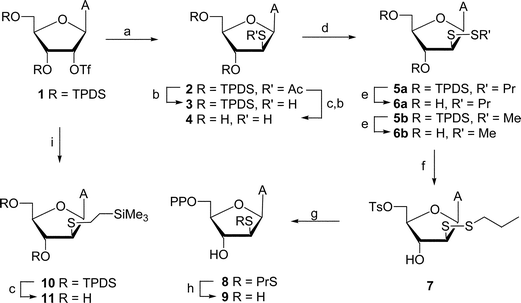 Reagents and conditions: (a) CH3COSK–DMF; (b) NH3–MeOH; (c) TBAF–THF; (d) DEAD–PrSH or MeSH–THF; (e) NH4F–MeOH; (f) TsCl–pyridine; (g) (Bu4N)3·HP2O7–CH3CN; (h) DTT–H2O; (i) Me3SiCH2CH2SH–K2CO3–DMF.